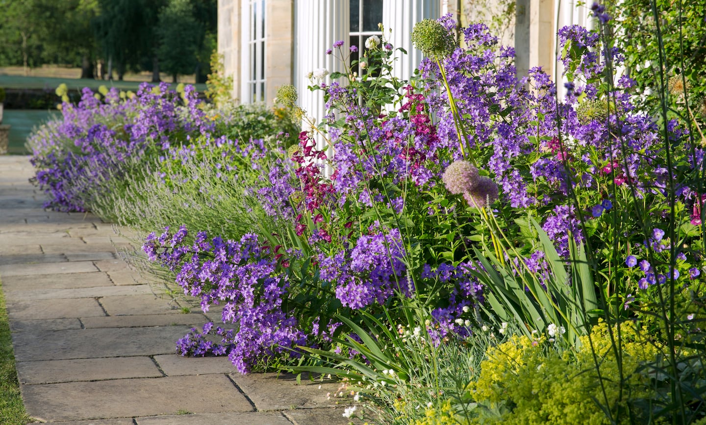 Toil away in gardening's 'sweet spot' of the year - autumn - The Boston Globe
